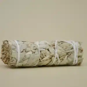 La Sauge Blanche de Californie - Petite