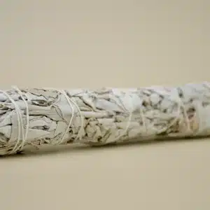 La Sauge Blanche de Californie - XL